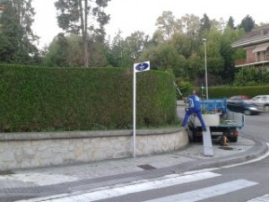 Poda y mantenimiento de setos