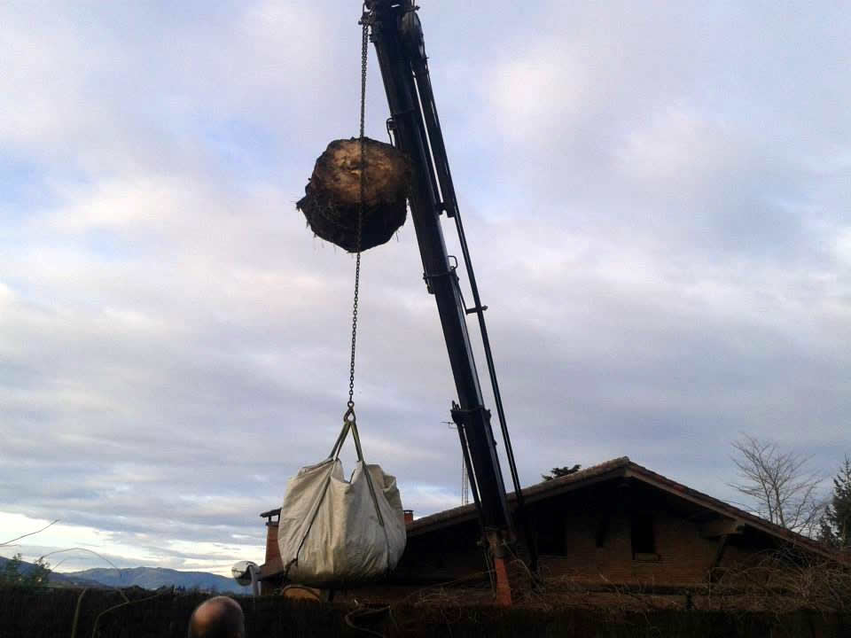 Maquinaria especializada para grandes podas