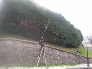 Poda en Lasarte