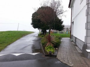 Mantenimiento jardines en Aia