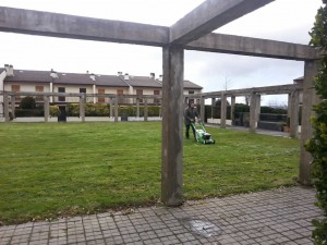 Mantenimiento jardines en Aia
