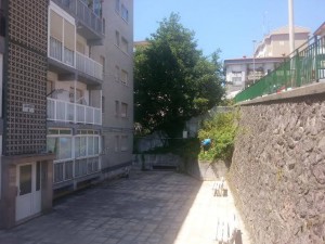 Desbroce limpieza Alza
