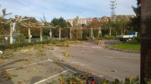 podas irun