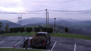 Podas en Gipuzkoa