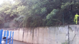 Limpieza y desbroce en Donostia