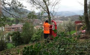 Limpieza de terreno y cierre con estacas