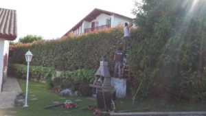 Trabajos de jardineria en Urrugne