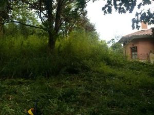 terreno garbiketa