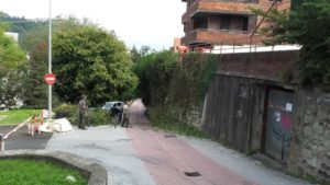 limpieza de maleza en muro