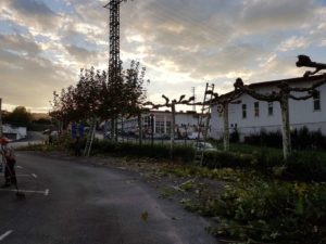 podas en Gipuzkoa