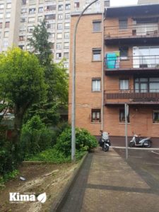 tala y poda en altura de arboles