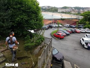 podas en Donostia