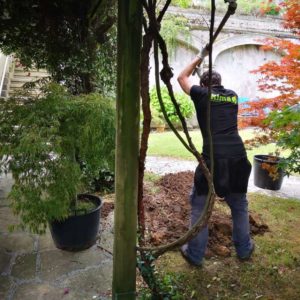 Jardineritza lanak Donostian