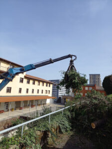 Poda de árboles en Bizkaia